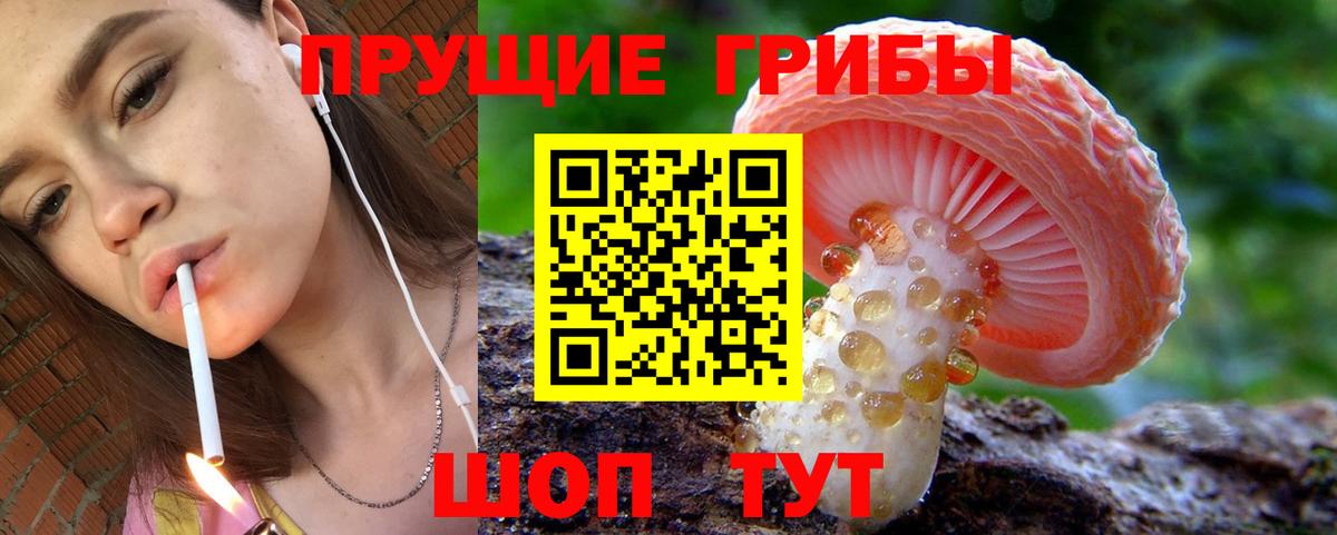 Губкинский  Галлюциногенные грибы Psilocybine cubensis  наркошоп  Вход с VPN 